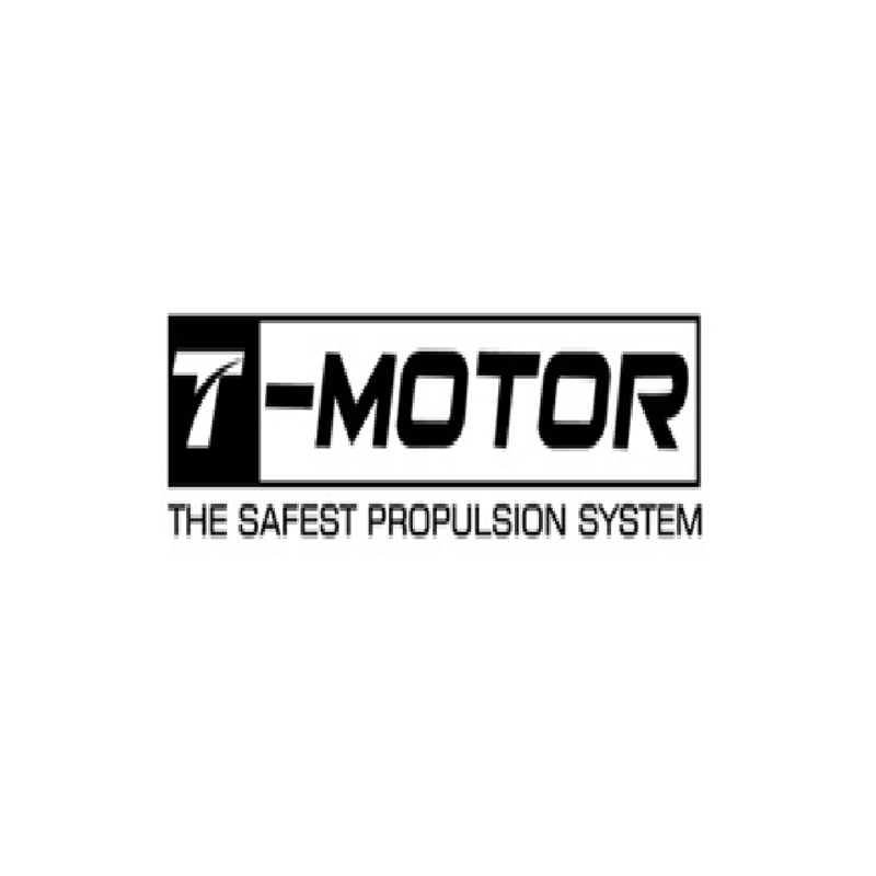 T motor